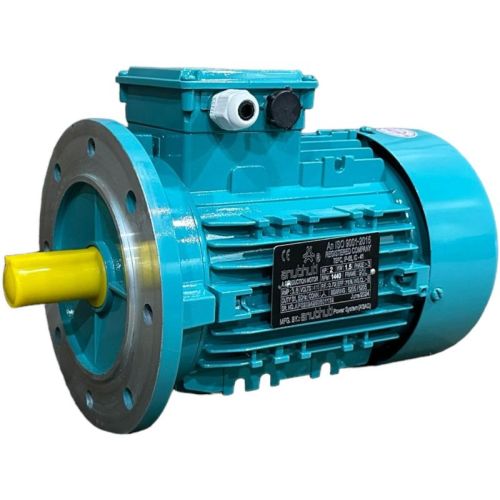 Flange Mount Motor