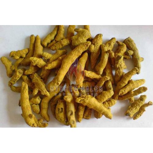 Rajapuri Turmeric Finger