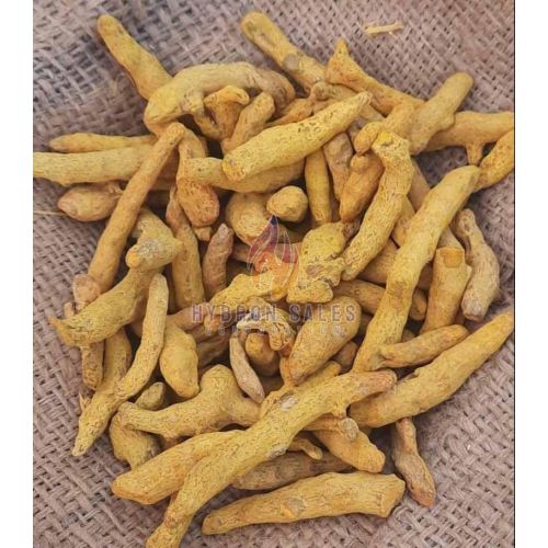 Sangli Turmeric Finger
