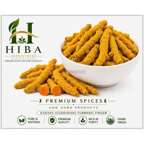 Cuddapah Turmeric Finger