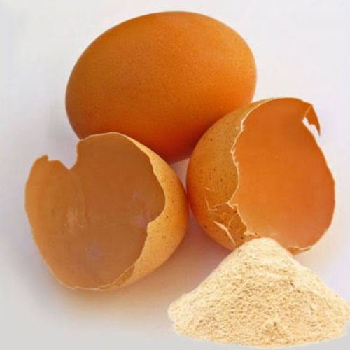 Egg Shell Powder