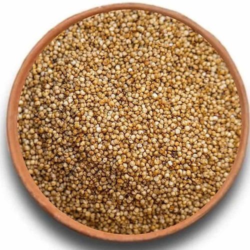 Semi Polished Kodo Millet