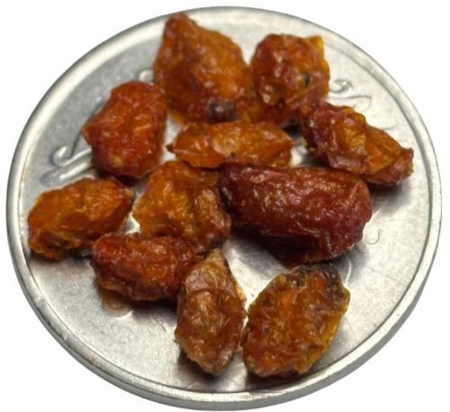 Seabuckthorn Dry Berry