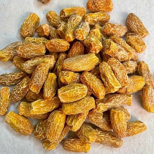 Rabbi Dry Dates