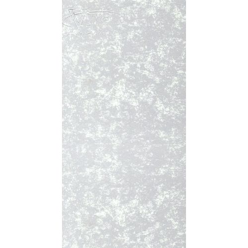 Galaxy Neptune ACP Panel