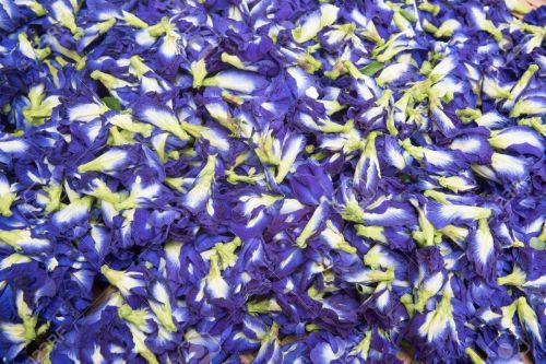 Organic Dried Butterfly Pea Flower