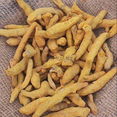 Sangli Turmeric Finger