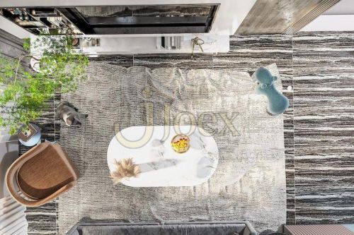 Modern Living Room Area Rug