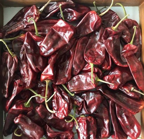 Paprika Dry Red Chilli