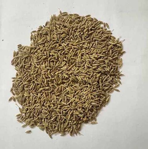 Whole Carom Seed