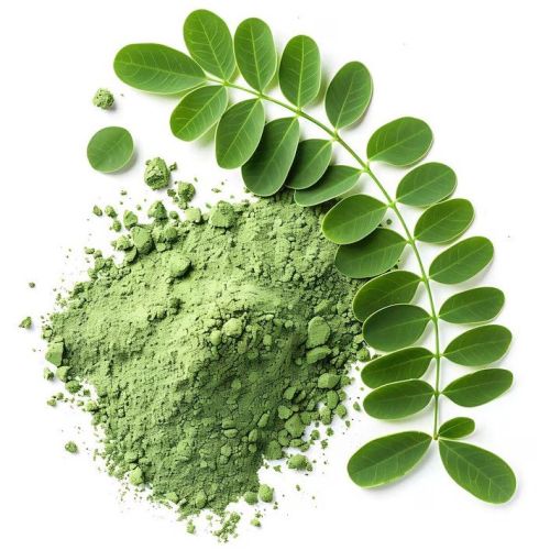 Green Moringa Powder