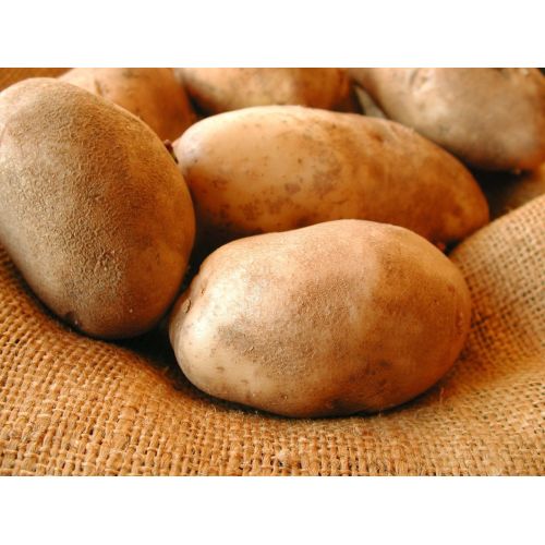 Farm Fresh Premium Potato