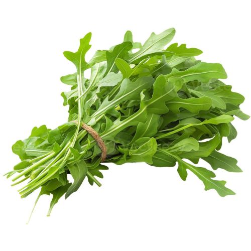 Fresh Arugula Leaves