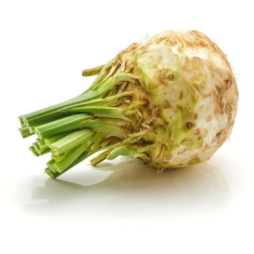 Fresh Celeriac Root