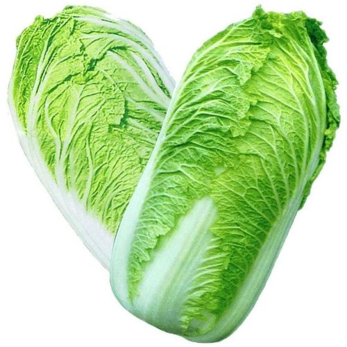 Fresh Chinese Cabbage