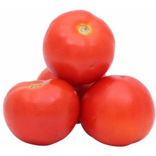 Fresh Desi Tomato