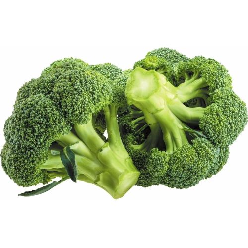 Fresh Green Broccoli