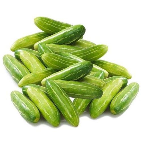 Fresh Ivy Gourd