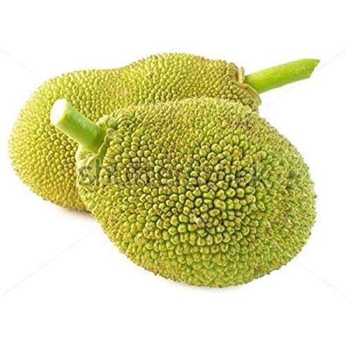 Fresh Jackfruit
