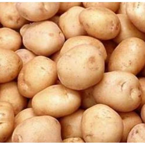 Fresh Kufri Bahar Potato
