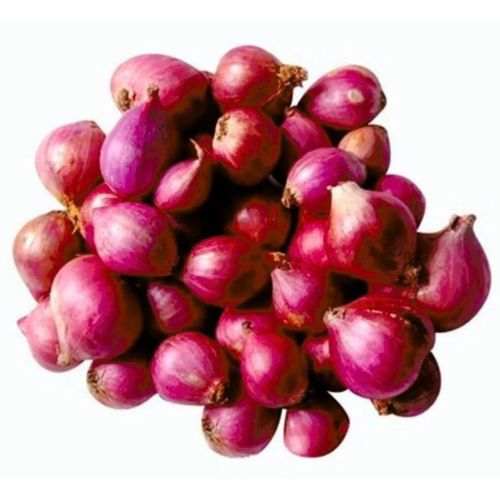 Fresh Small Pearl Onion
