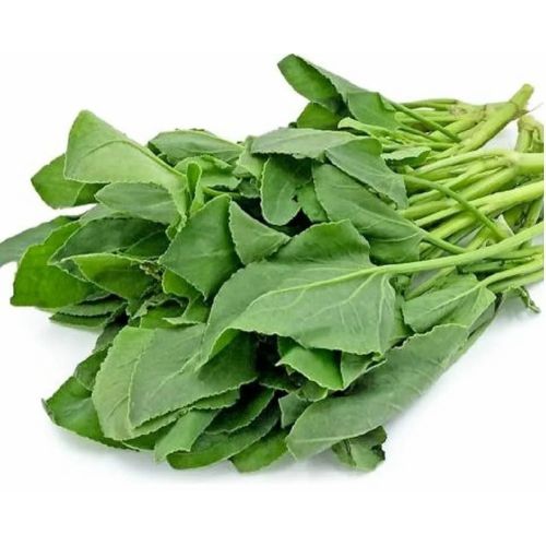 Fresh Sorrel Leaves