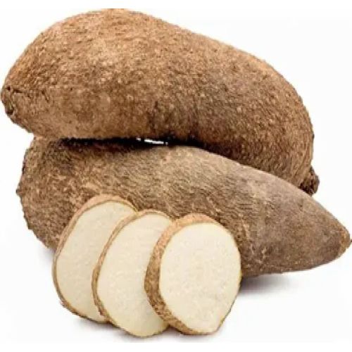 Fresh Yam Bean