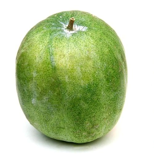 Premium Ash Gourd