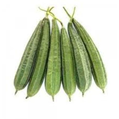 Tender Sponge Gourd