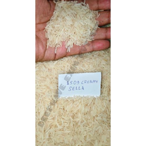 1509 Creamy Sella Basmati Rice