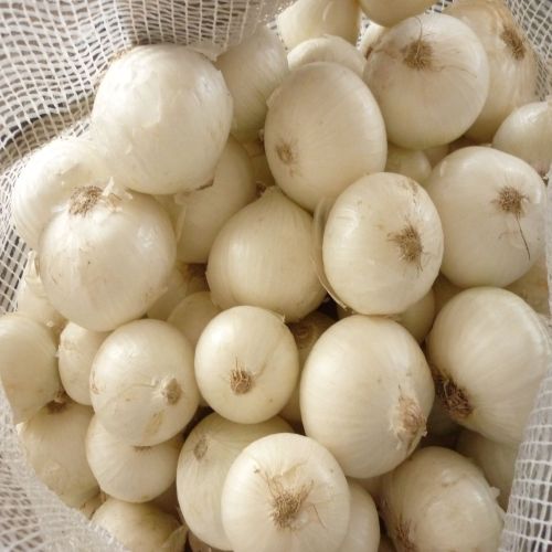 Fresh White Onion