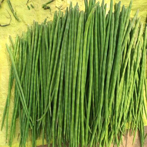 Drumstick Vegetable