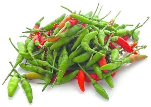 Kanthari Chilli