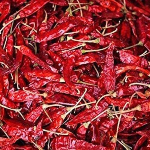 Dry Red Chili