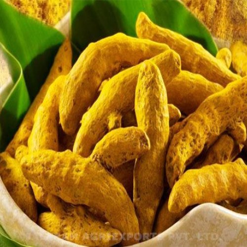 Turmeric Finger