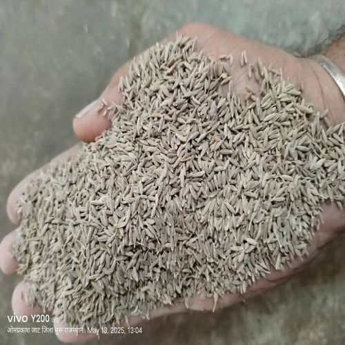 Cumin Seeds