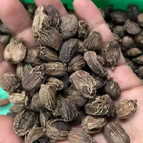 Dried Green Cardamom