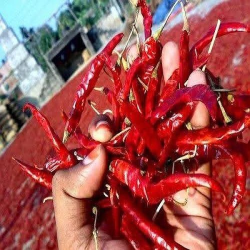 Dry Red Chili