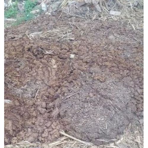 Eco-Friendly Organic Manure