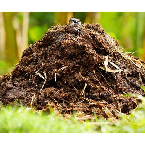 Natural Decomposed Cow Manure