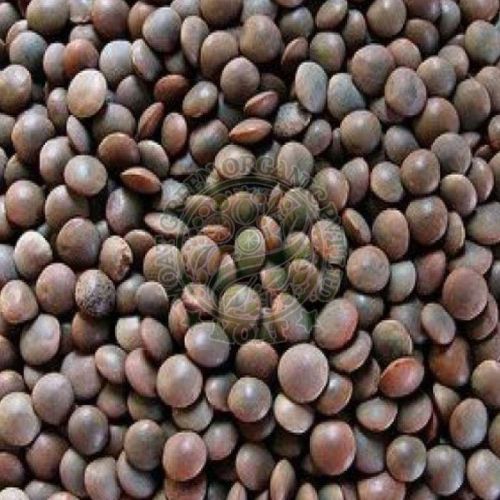 Black Masoor Dal