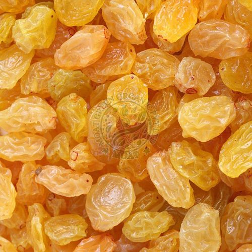 Golden Raisins