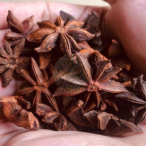 Star Anise Seeds