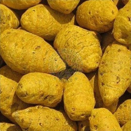 Turmeric Bulb