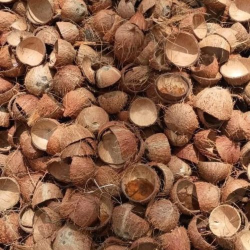Brown Coconut Shells