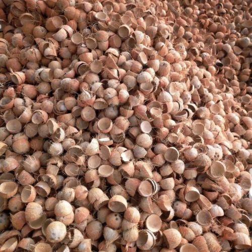 Hard Coconut Shells