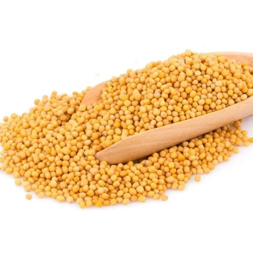 Mustard Seeds