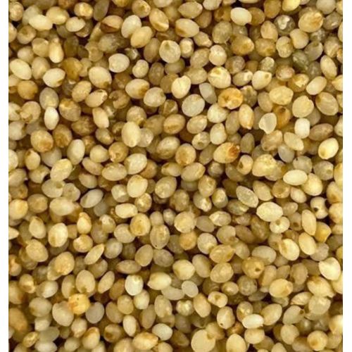 Natural Little Millet