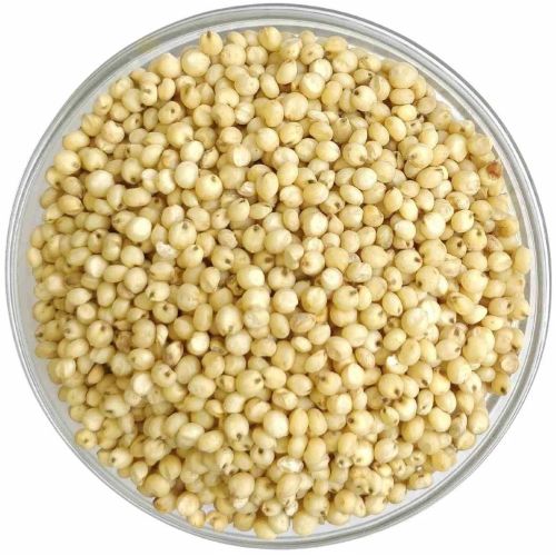 Premium Jowar Millet