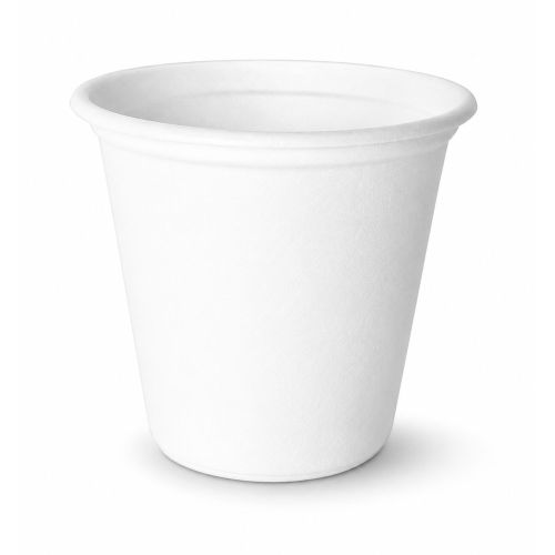 Disposable Cup